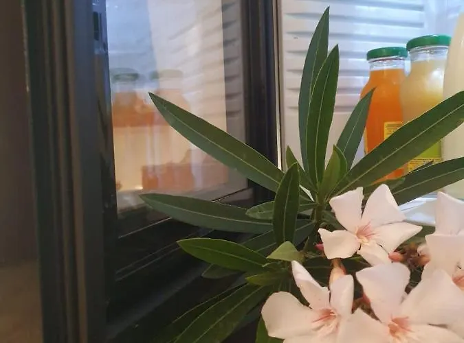 فندق مبيت وإفطار La Casa Dei Nonni سان سالفو