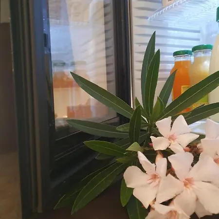 Frühstückspension La Casa Dei Nonni San Salvo